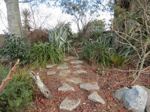 disco and garden 065